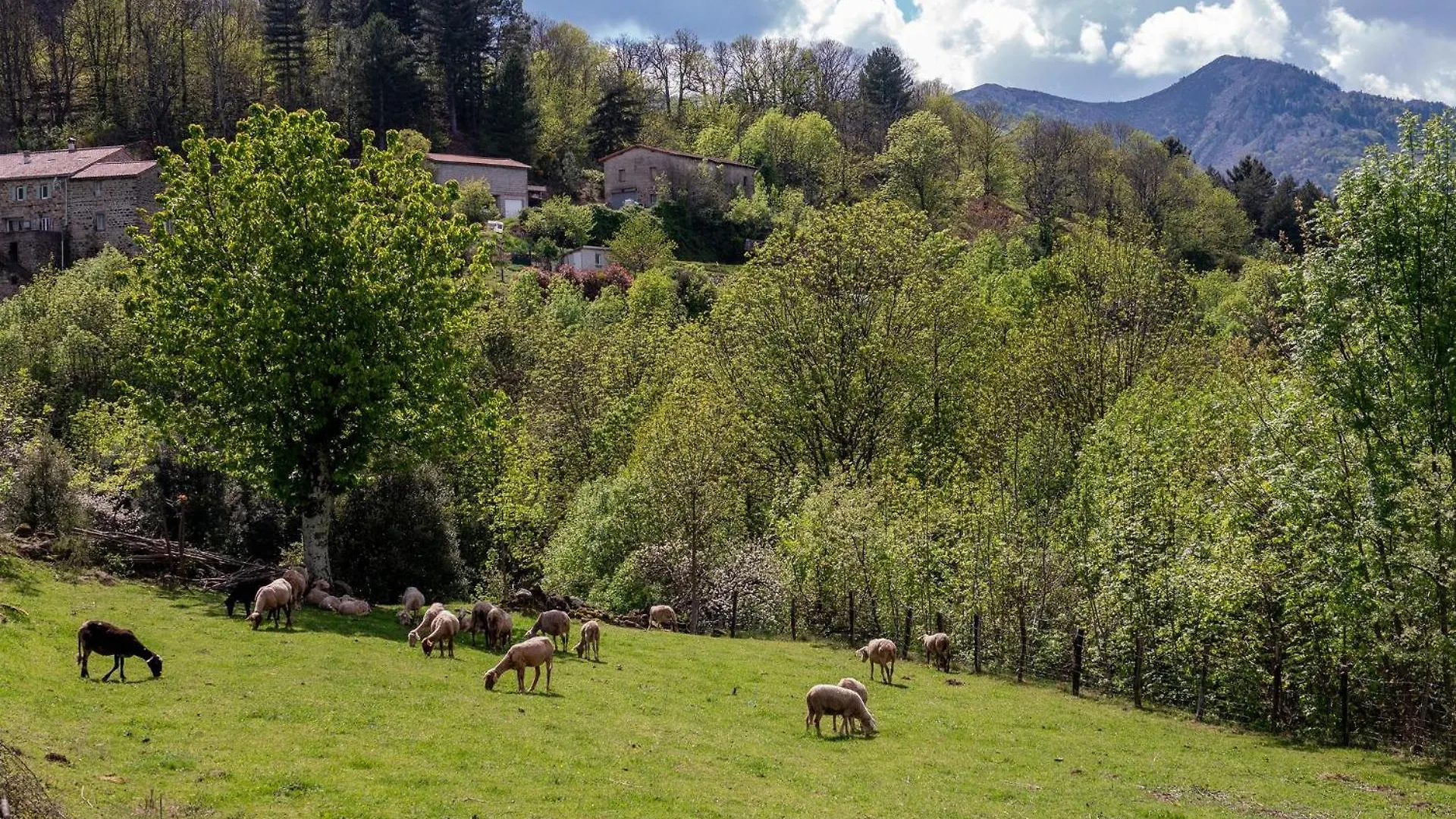 La babounette Jaujac France